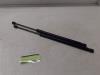 Ford Focus 3 Wagon 1.6 TDCi ECOnetic Set of tailgate gas struts