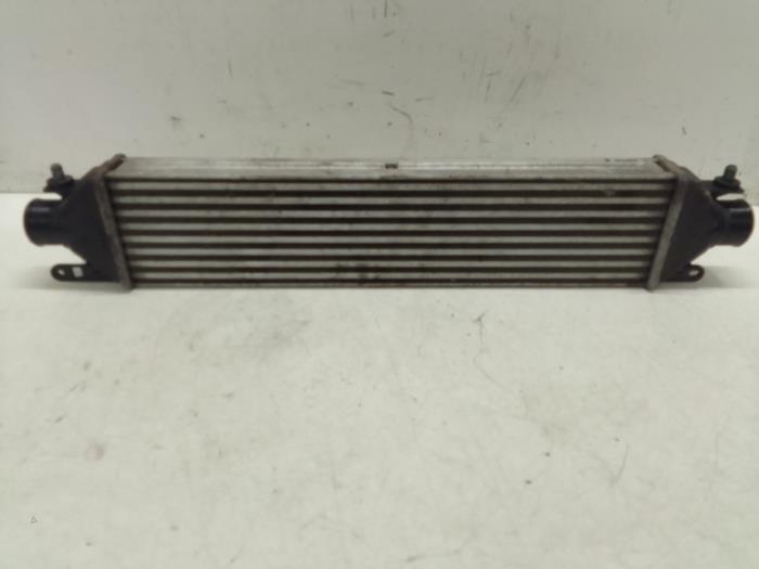 Usados Intercooler Opel Combo 1.6 CDTI 16V Precio € 125,00 Norma de margen ofrecido por Autodemontage van de Laar