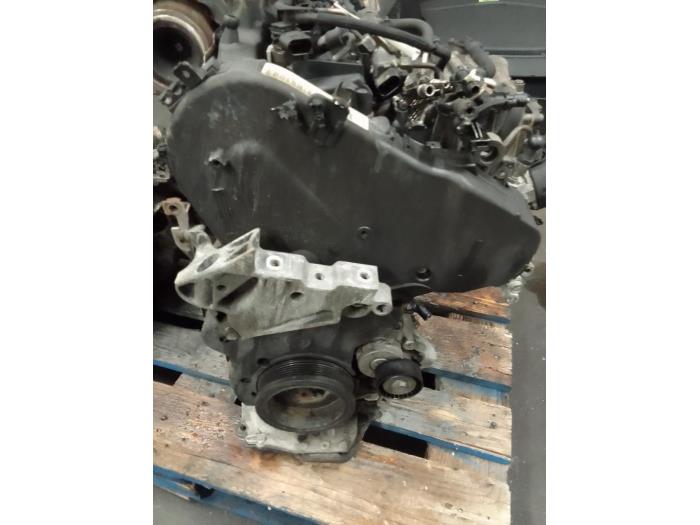 Used Engine Volkswagen Golf VIII (CD1) 2.0 TDI BlueMotion 16V Price on request offered by Autodemontage van de Laar