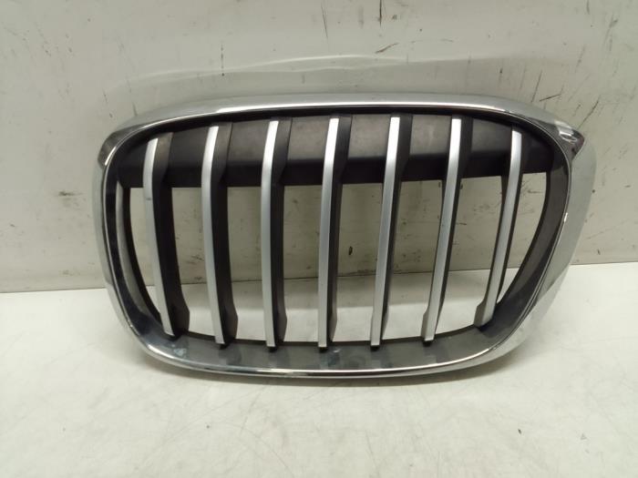 Używane Grill BMW X1 (F48) sDrive 18d 2.0 16V Cena € 50,00 Procedura marży oferowane przez Autodemontage van de Laar