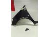 Front wing, left from a Renault Clio III (BR/CR), 2005 / 2014 1.2 16V 75, Hatchback, Petrol, 1.149cc, 55kW (75pk), FWD, D4F740; D4FD7; D4F706; D4F764; D4FE7, 2005-06 / 2014-12, BR/CR1J; BR/CRCJ; BR/CR1S; BR/CR9S; BR/CRCS; BR/CRFU; BR/CR3U; BR/CRP3 2006
