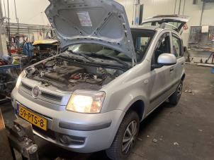 Used Grille Fiat Panda (169) 1.2, Classic Price on request offered by Autodemontage van de Laar