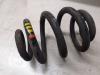 Rear coil spring from a Volkswagen Transporter T6, 2015 2.0 TDI 204, Delivery, Diesel, 1,968cc, 150kW, CXEB, 2015-06 2018