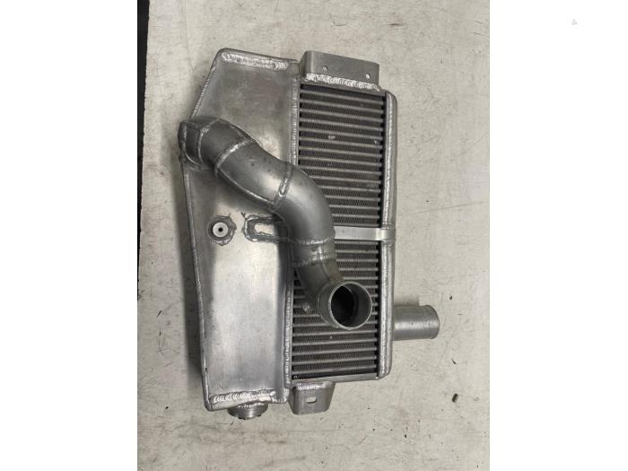 Usados Intercooler Renault Diversos Precio € 150,00 Norma de margen ofrecido por Autodemontage van de Laar
