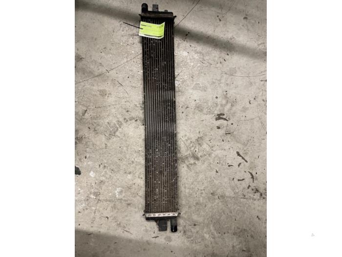 Intercooler d'un Renault Master III (EV/HV/UV/VA/VB/VD/VF/VG/VJ) 2.3 dCi 165 16V FWD 2020