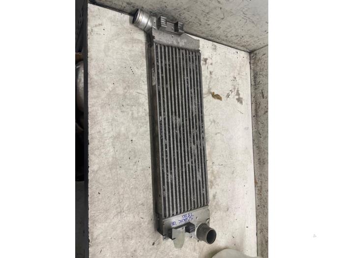 Usagé Intercooler Renault Megane II (BM/CM) 1.5 dCi 100 Prix € 25,00 Règlement à la marge proposé par Autodemontage van de Laar