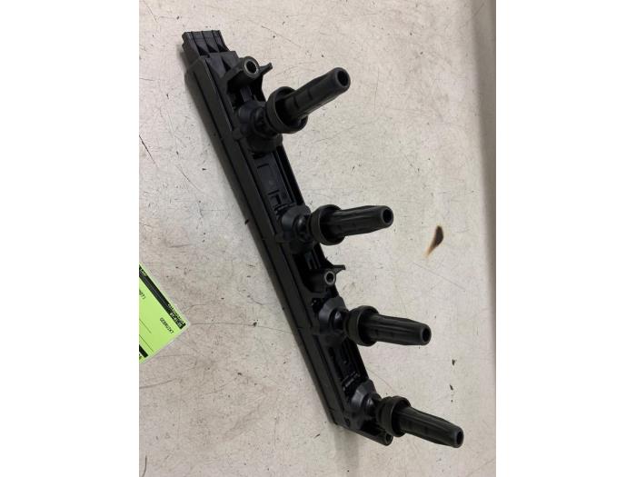Usagé Bobine Citroen C4 Picasso (UD/UE/UF) 2.0 16V Autom. Prix € 50,00 Règlement à la marge proposé par Autodemontage van de Laar