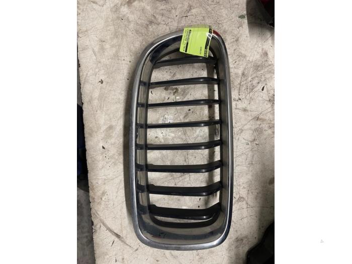 Używane Grill BMW 3 serie (F30) 318d 2.0 16V Cena € 35,00 Procedura marży oferowane przez Autodemontage van de Laar