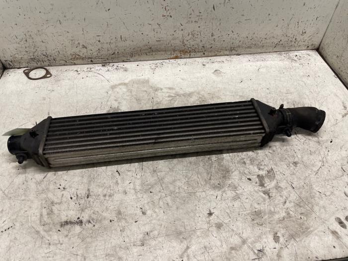 Used Intercooler Fiat Bravo (198A) 1.4 T-Jet 16V 120 Price € 50,00 Margin scheme offered by Autodemontage van de Laar
