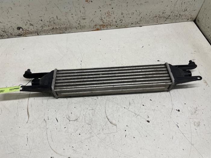 Usados Intercooler Fiat Grande Punto (199) 1.3 JTD Multijet 16V 85 Actual Precio € 35,00 Norma de margen ofrecido por Autodemontage van de Laar