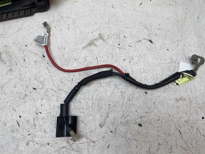 Używane Biegun akumulator Audi Q2 (GAB/GAG) 1.4 TFSI 16V Cena € 15,00 Procedura marży oferowane przez Autodemontage van de Laar