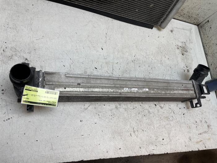 Usagé Intercooler Renault Scénic III (JZ) 1.2 16V TCe 130 Prix sur demande proposé par Autodemontage van de Laar