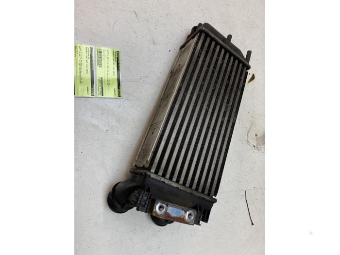 Gebrauchte Ladeluftkühler Peugeot Partner Tepee (7A/B/C/D/E/F/G/J/P/S) 1.6 HDiF 90 16V Phase 1 Preis € 40,00 Margenregelung angeboten von Autodemontage van de Laar