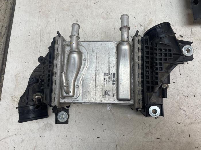 Usados Intercooler Volkswagen Transporter T6 2.0 TDI 150 Precio € 200,00 Norma de margen ofrecido por Autodemontage van de Laar