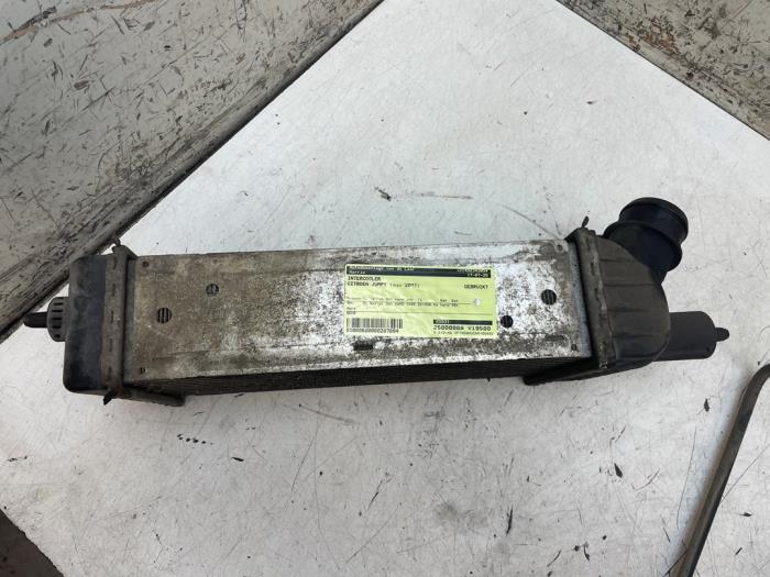 Usagé Intercooler Citroen Jumpy (G9) 1.6 HDI 16V Prix sur demande proposé par Autodemontage van de Laar