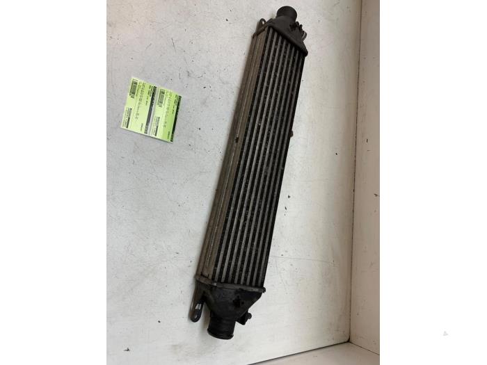 Usados Intercooler Opel Combo 1.3 CDTI 16V ecoFlex Precio € 40,00 Norma de margen ofrecido por Autodemontage van de Laar