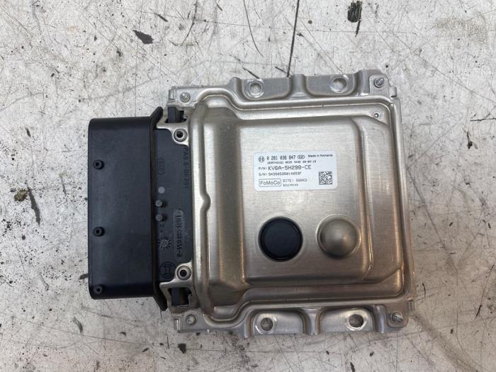 Used Adblue Computer Ford Transit Connect (PJ2) 1.5 EcoBlue Price on request offered by Autodemontage van de Laar