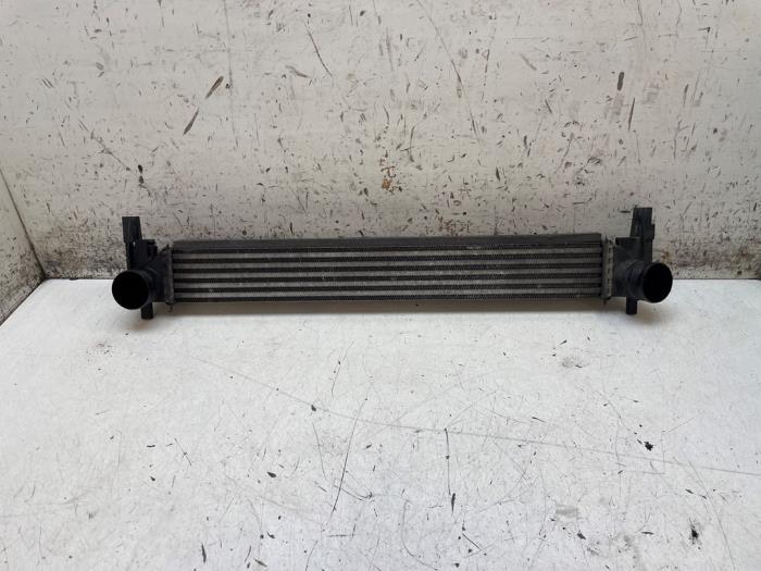 Gebrauchte Ladeluftkühler Volkswagen Polo V (6R) 1.2 TDI 12V BlueMotion Preis € 75,00 Margenregelung angeboten von Autodemontage van de Laar