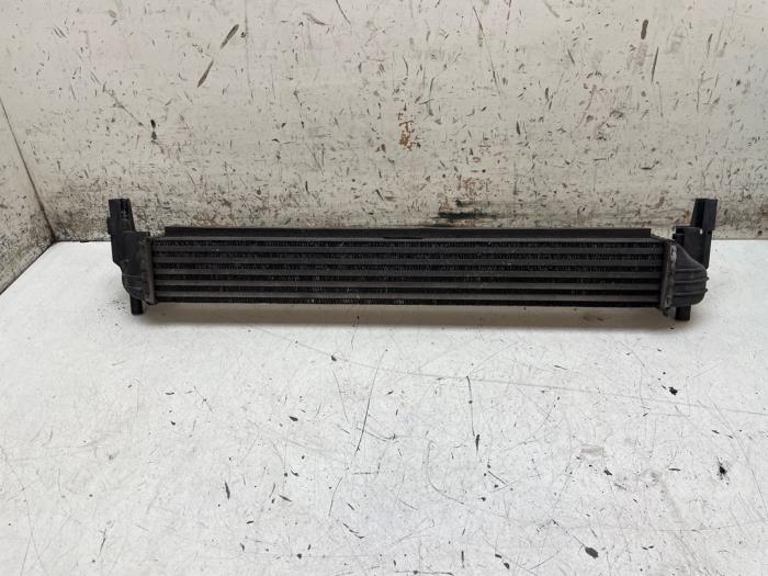 Intercooler d'un Volkswagen Polo V (6R) 1.2 TDI 12V BlueMotion 2012