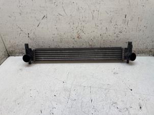 Intercooler d'un Volkswagen Polo V (6R) 1.2 TDI 12V BlueMotion 2012