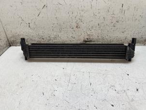 Intercooler d'un Volkswagen Polo V (6R) 1.2 TDI 12V BlueMotion 2012