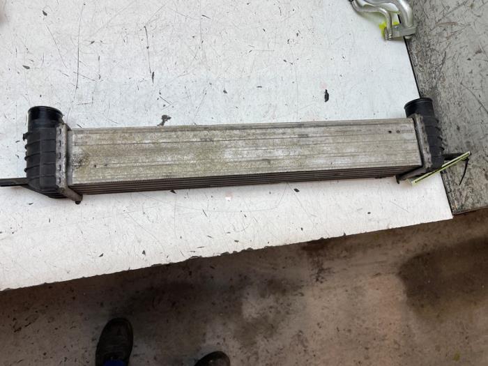 Usagé Intercooler Fiat Fiorino (225) 1.3 D 16V Multijet Prix € 50,00 Règlement à la marge proposé par Autodemontage van de Laar