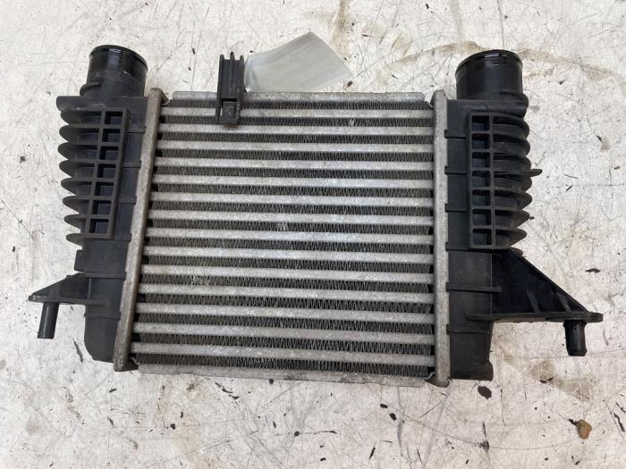Gebrauchte Ladeluftkühler Renault Modus/Grand Modus (JP) 1.2 16V Preis € 50,00 Margenregelung angeboten von Autodemontage van de Laar