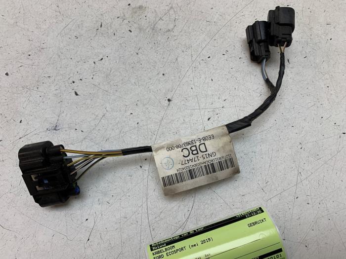 Begagnade Kablage Ford EcoSport (JK8) 1.0 EcoBoost 12V 125 Pris € 40,00 Marginaltabell erbjuds av Autodemontage van de Laar