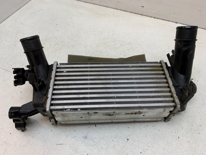 Usagé Intercooler Ford EcoSport (JK8) 1.0 EcoBoost 12V 125 Prix € 75,00 Règlement à la marge proposé par Autodemontage van de Laar