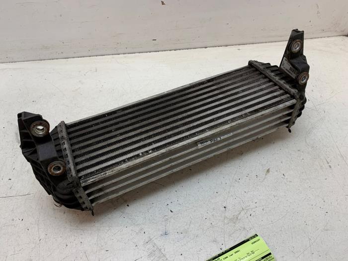Usagé Intercooler Ford Transit Connect 1.8 TDCi 90 Prix sur demande proposé par Autodemontage van de Laar