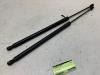 Volkswagen Tiguan (AD1) 1.4 TSI 16V Set Gasdämpfer Heckklappe