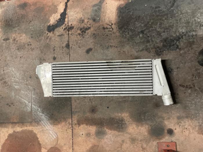 Usagé Intercooler Renault Scénic II (JM) 1.9 dCi 130 Prix € 140,00 Règlement à la marge proposé par Autodemontage van de Laar