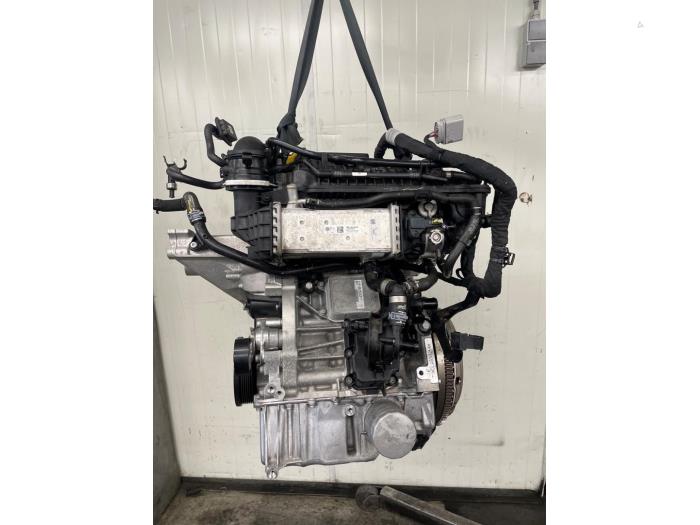 Usagé Moteur Skoda Fabia IV (PJ3) 1.0 TSI 12V Prix € 1.250,00 Règlement à la marge proposé par Autodemontage van de Laar