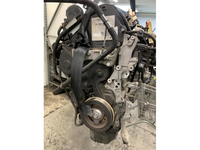 Used Engine Citroen Berlingo 1.6 Hdi 75 Price € 1.000,00 Margin scheme offered by Autodemontage van de Laar