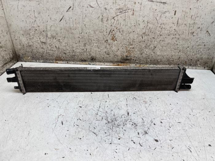 Gebrauchte Kühler Renault Master III (EV/HV/UV/VA/VB/VD/VF/VG/VJ) 2.3 dCi 170 16V Preis auf Anfrage angeboten von Autodemontage van de Laar