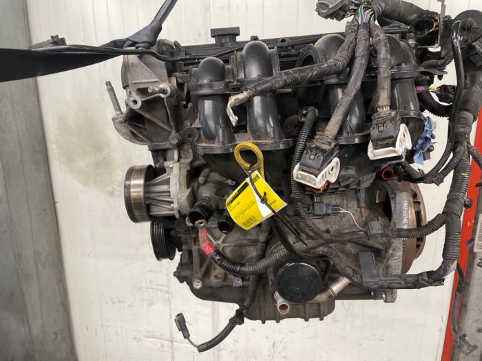 Used Engine Ford Fiesta 6 (JA8) 1.4 16V Price on request offered by Autodemontage van de Laar