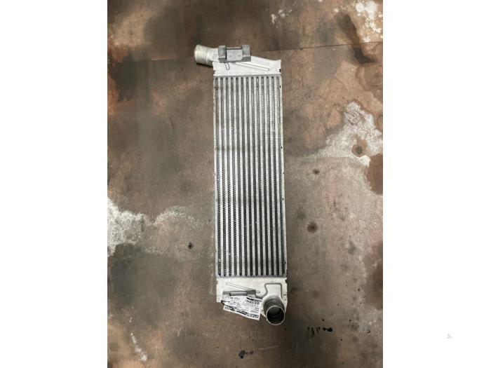 Usagé Intercooler Renault Megane II (BM/CM) 1.9 dCi 115 Prix € 100,00 Règlement à la marge proposé par Autodemontage van de Laar