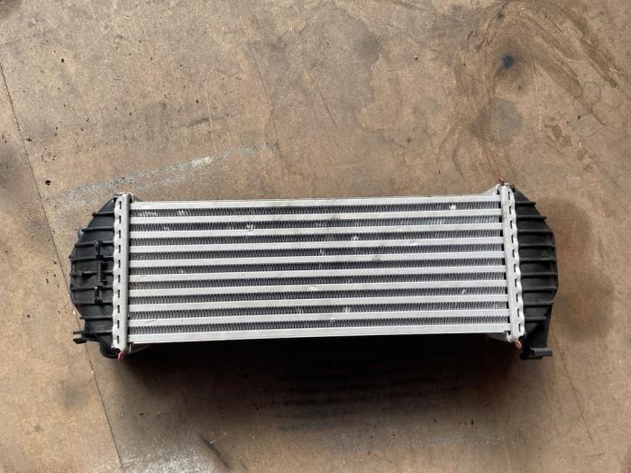 Usados Intercooler Renault Kangoo/Grand Kangoo (KW) 1.5 dCi 105 Precio € 100,00 Norma de margen ofrecido por Autodemontage van de Laar
