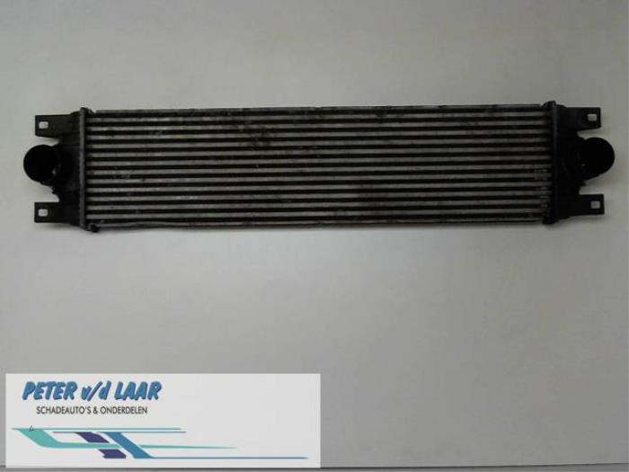 Usagé Intercooler Renault Master II (JD) 2.5 dCi 16V 100 Prix € 100,00 Règlement à la marge proposé par Autodemontage van de Laar