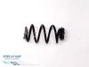 Renault Clio III (BR/CR) 1.2 16V 75 Rear coil spring