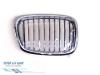 Grille from a BMW 5-Serie 2001