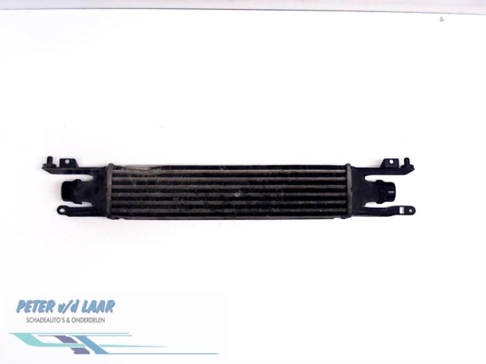 Usagé Intercooler Volkswagen Polo V (6R) 1.2 12V BlueMotion Technology Prix € 120,00 Règlement à la marge proposé par Autodemontage van de Laar
