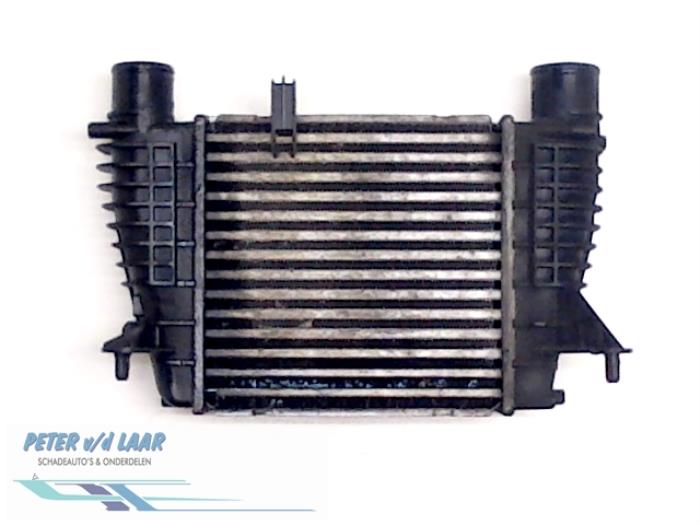 Usados Intercooler Renault Clio III (BR/CR) 1.5 dCi 70 Precio € 100,00 Norma de margen ofrecido por Autodemontage van de Laar