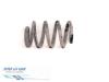 Renault Master III (ED/HD/UD) 3.0 dCi 16V 140 Rear coil spring