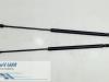 Set of tailgate gas struts from a Volkswagen New Beetle (9C1/9G1), 1998 / 2010 1.8 20V Turbo, Hatchback, 2-dr, Petrol, 1.781cc, 110kW (150pk), FWD, AGU; APH; AVC; AWU; AWV; BKF, 1999-10 / 2010-09, 9C1 2001