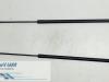Set of tailgate gas struts from a Renault Kangoo Express (FW), 2008 1.5 dCi 105, Delivery, Diesel, 1.461cc, 78kW (106pk), FWD, K9K804; K9KC8, 2008-02, FW0C; FW1C; FW2C 2009