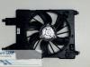 Renault Megane II (LM) 1.9 dCi 110 Ventilateur moteur