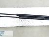 Set of tailgate gas struts from a Ford Focus 2000