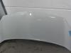 Bonnet from a Renault Kangoo Express (FW), 2008 1.5 dCi 85, Delivery, Diesel, 1.461cc, 63kW (86pk), FWD, K9K812, 2008-02, FW0K; FW0L 2008