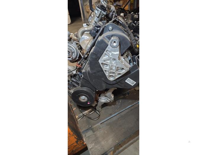 Gebrauchte Motor Renault Megane III Berline (BZ) 1.9 dCi Preis auf Anfrage angeboten von Autodemontage van de Laar